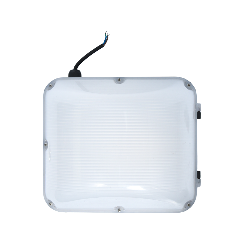 Đèn treo tường thân thiện với môi trường ngoài trời PY-LED9010 Đèn treo tường thân thiện với môi trường ngoài trời PY-LED9010